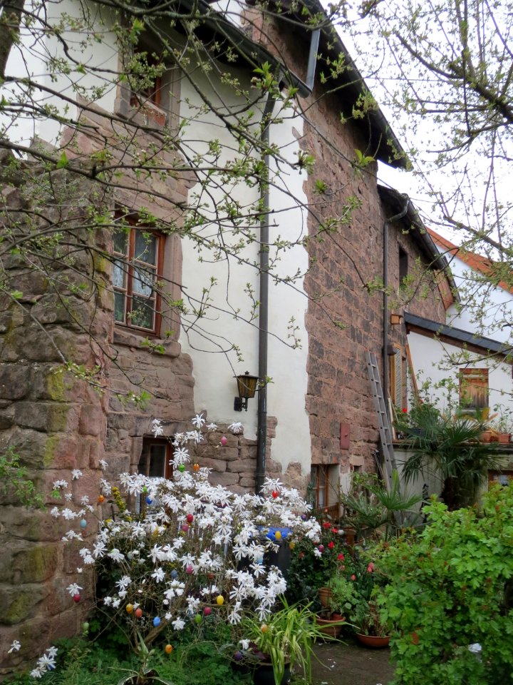 20160416Stadtmauer_St_Wendel3