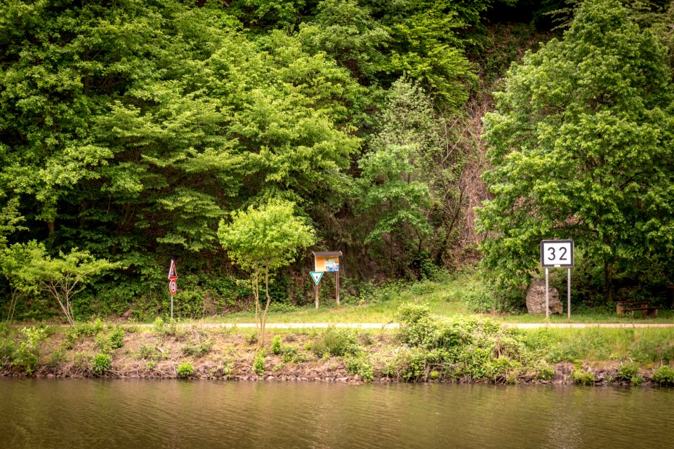 20160515_Naturschutzgebiet_Saar_IMG_3277_by_sebaso