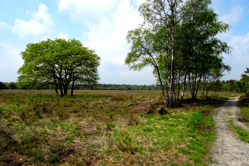 20160517_Hendrik_Mouwenveld_nabij_Vierhouten