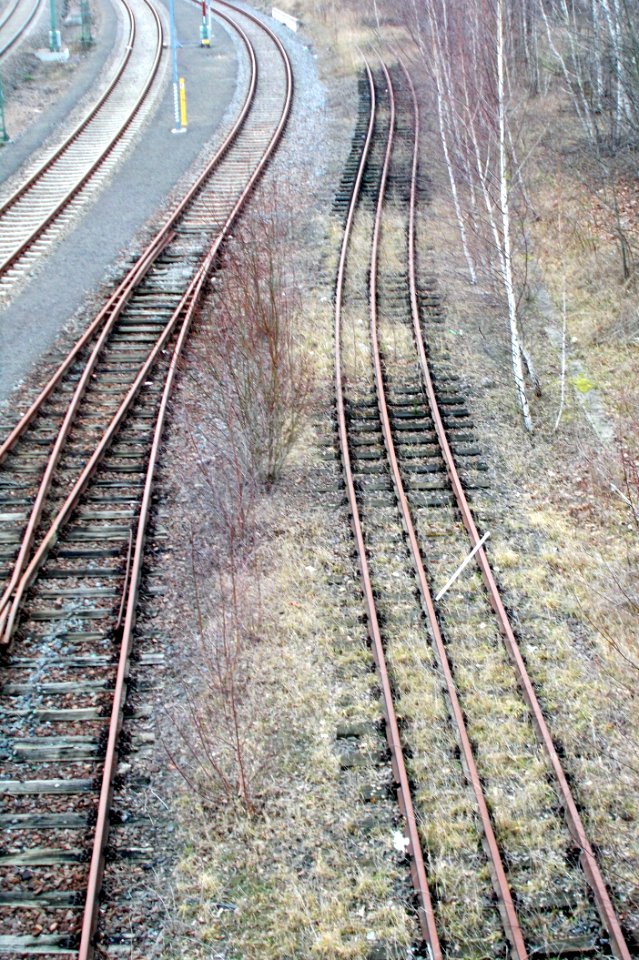 2016_Kombinationsgleis_der_ehemaligen_Schmalspurbahn_in_Potschappel