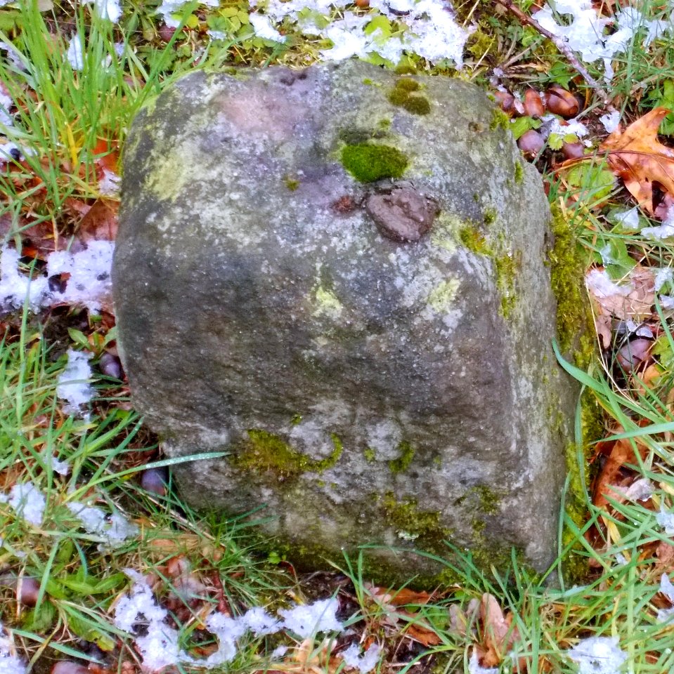 2016_Weißig_Oberdöhlen_Grenzstein