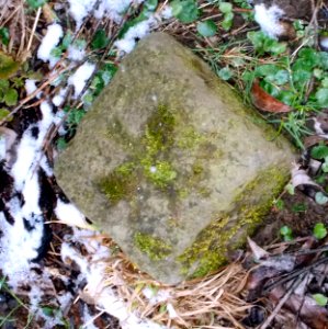 2016_Pesterwitz_Potschappel_Grenzstein_2