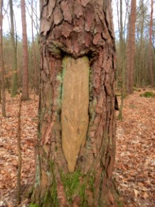 20160313Harzlachte18