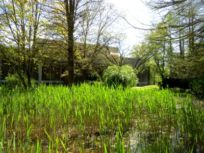 20160421Tertiaergarten_Heidelberg4