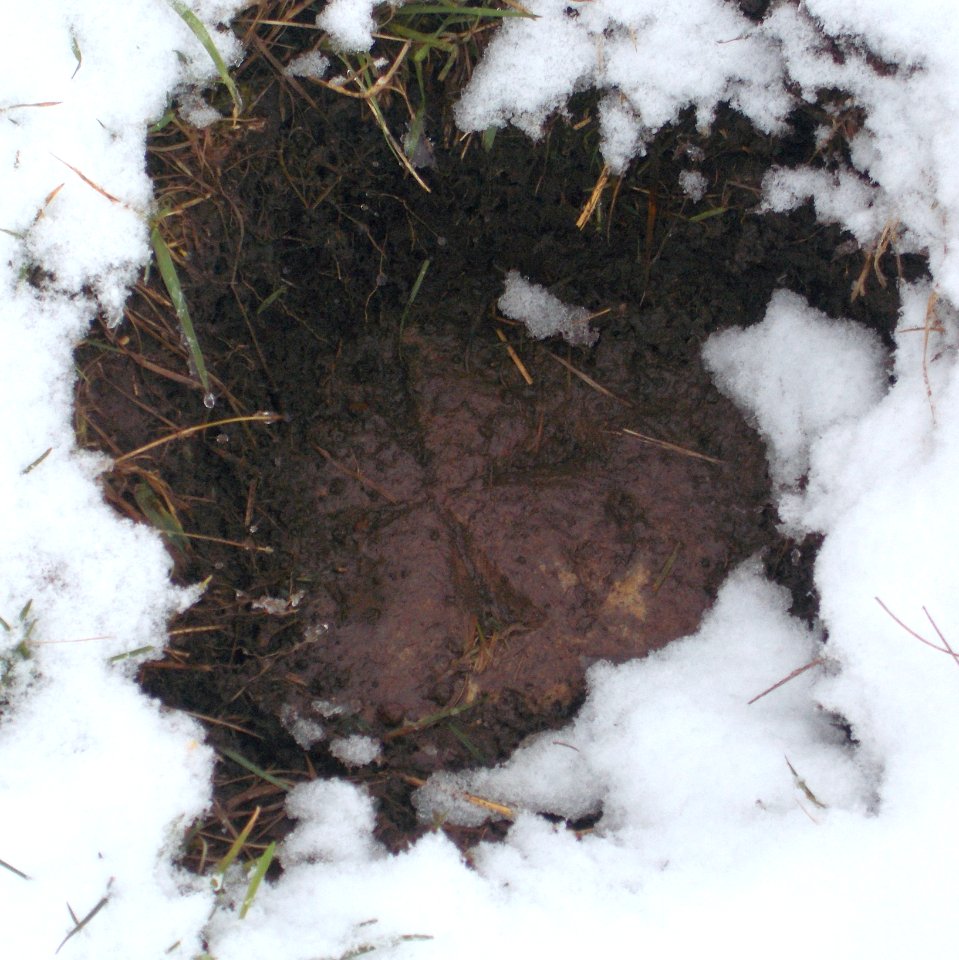 2016_Grenze_Pesterwitz_Stein_1