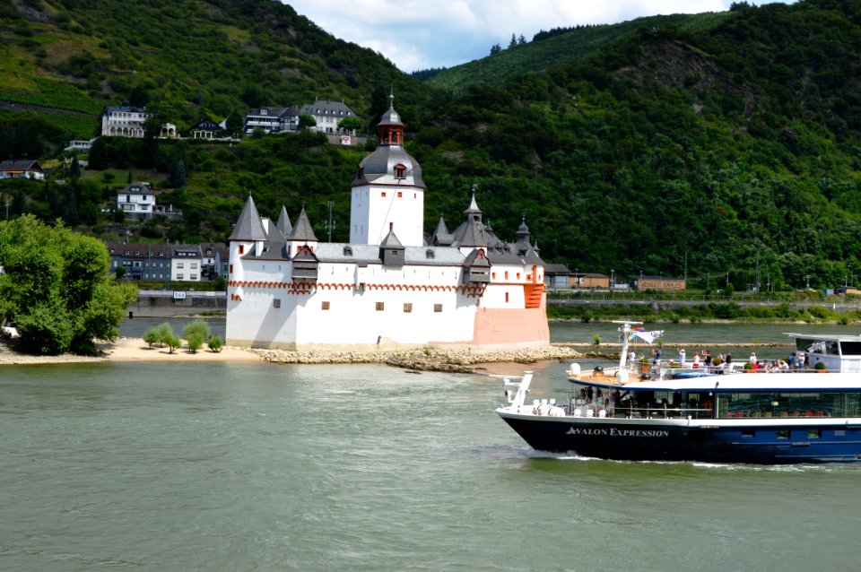 2016_Burg_Pfalzgrafenstein._Spielvogel