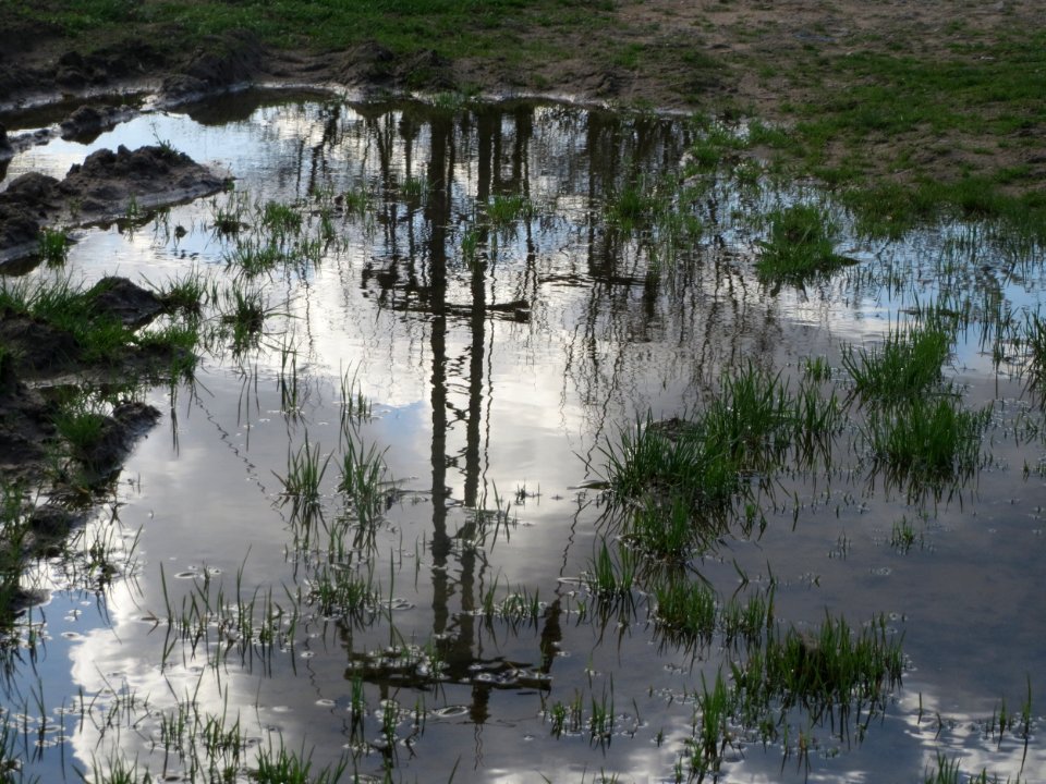 20160407Reilingen4