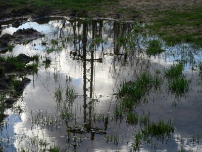 20160407Reilingen4