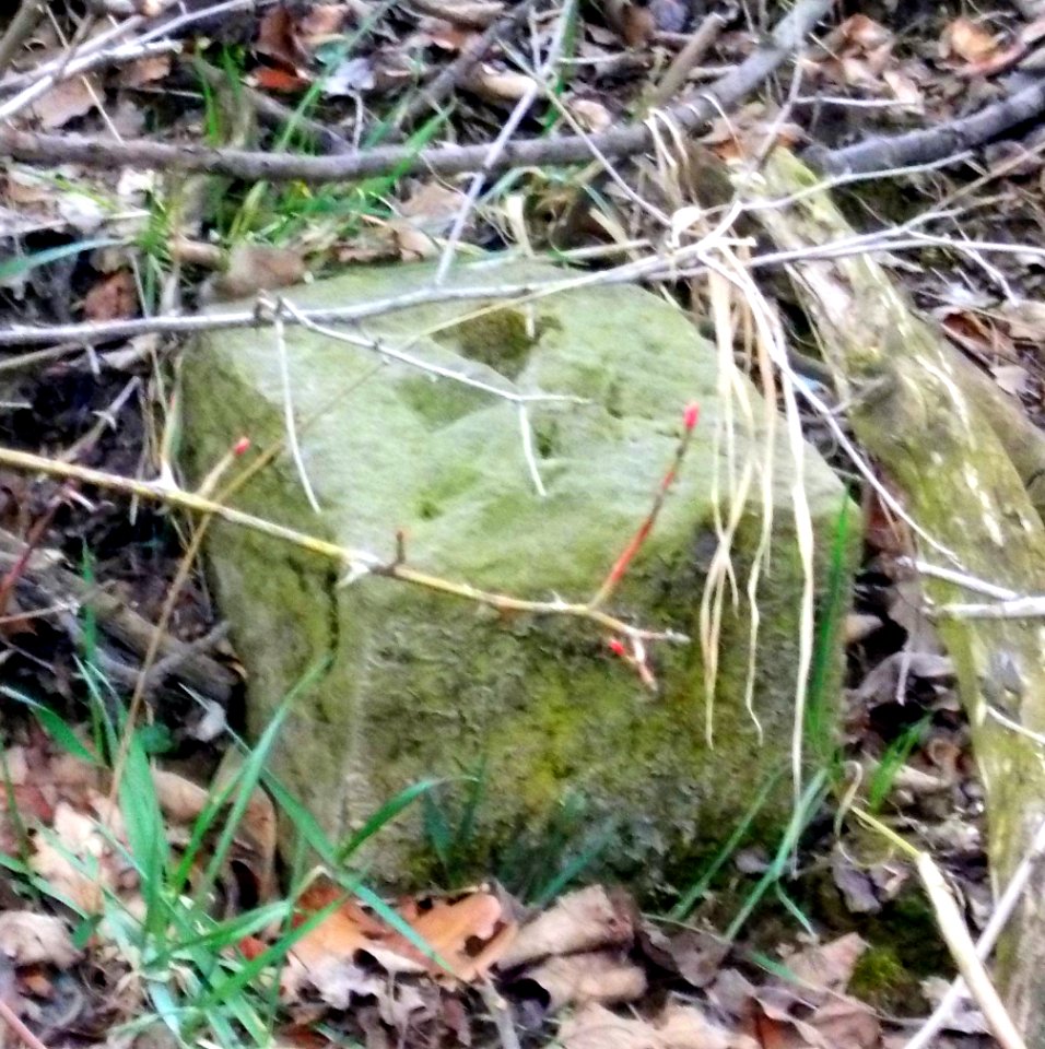 2016_Wurgwitz_Grenzstein_Quänebachweg_1