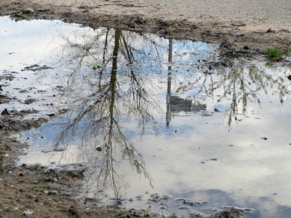 20160407Reilingen3