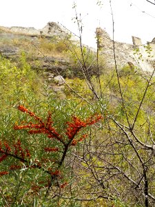 2016_Burgruine_Lichtenberg_(Prad_am_Stilfserjoch)_(41)