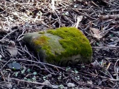 2016_Zauckerode_Potschappel_Grenzstein_3