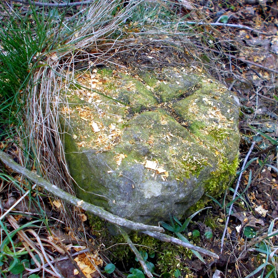 2016_Wurgwitz_Grenzstein_Quänebachweg_2