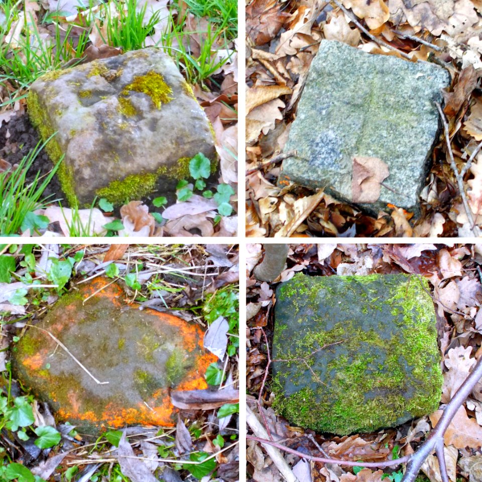 2016_Freital_Grenzsteine_am_südlichen_Burgwartsberg_im_Tal