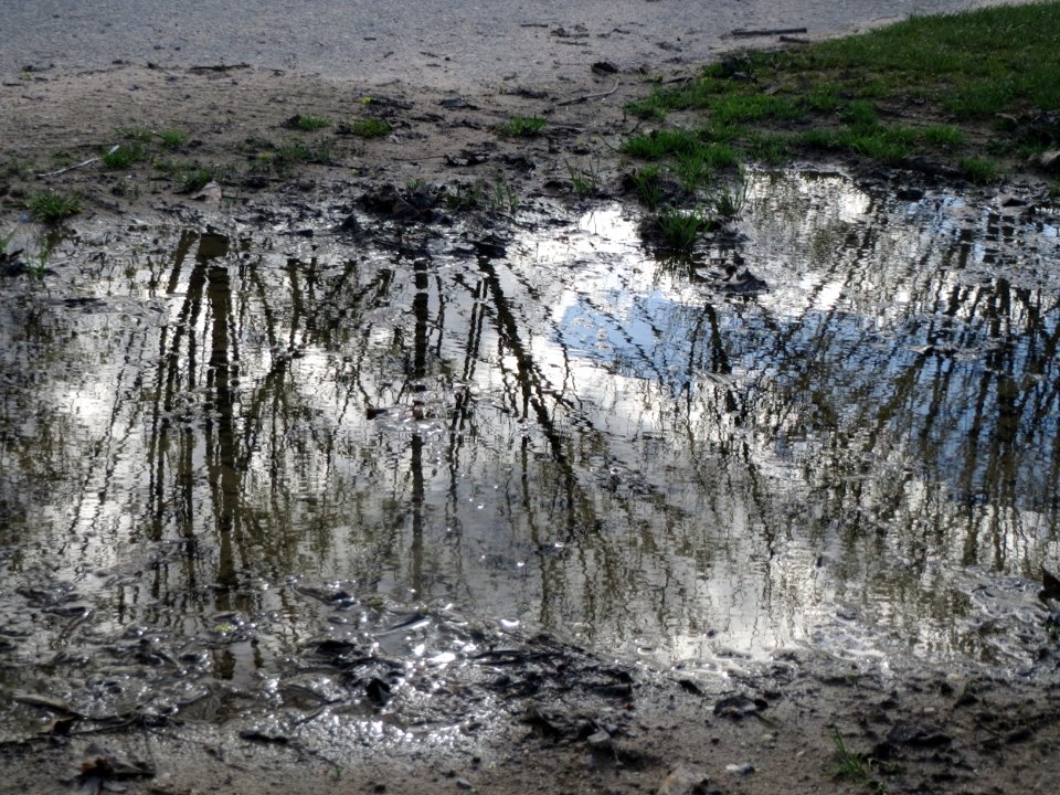 20160407Reilingen1