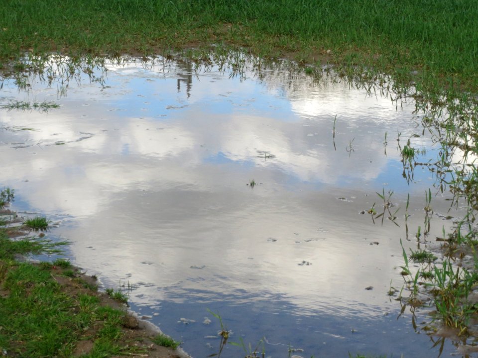 20160407Reilingen6