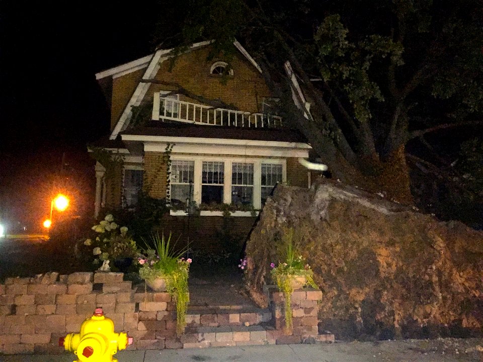 2016_Grand_Rapids_tornado_outbreak_Wyoming_tree_house