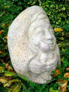 20151027_Vrouwtje_van_Hattem2_door_Wim_Barendsen