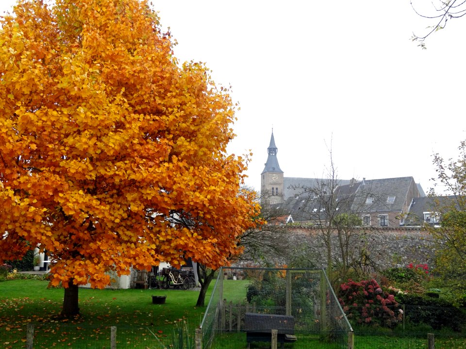 20151027_Stadsmuur2_met_Grote_of_Andreaskerk_Hattem