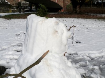 20160308Schneemann_St_Arnual4