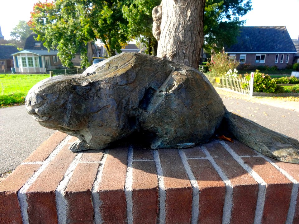 20151027_Laatste_bever_van_Nederland2_Zalk_door_Hermieneke_Schaeffer