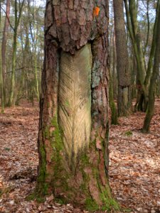 20160313Harzlachte04