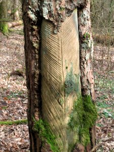 20160313Harzlachte12