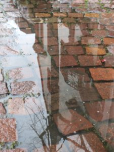 20160315Hockenheim4