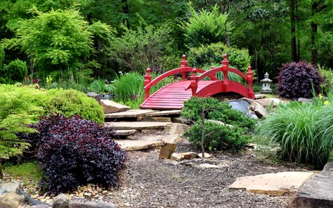 Nature outdoors bridge