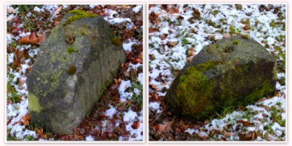 2016_Weißig_Oberdöhlen_Wegstein