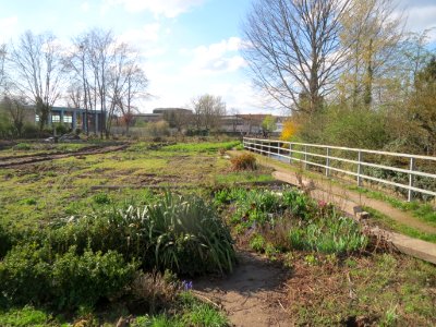 20160406Kraichbach_Hockenheim2