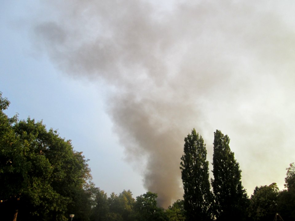 20180807Feuer_Gartenschaupark1