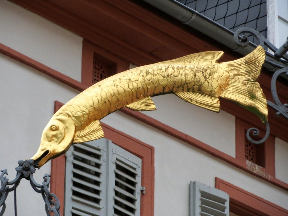 20160419Goldener_Hecht_Heidelberg2