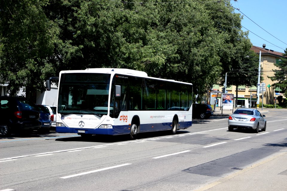 20180730_Globe_Limo_504