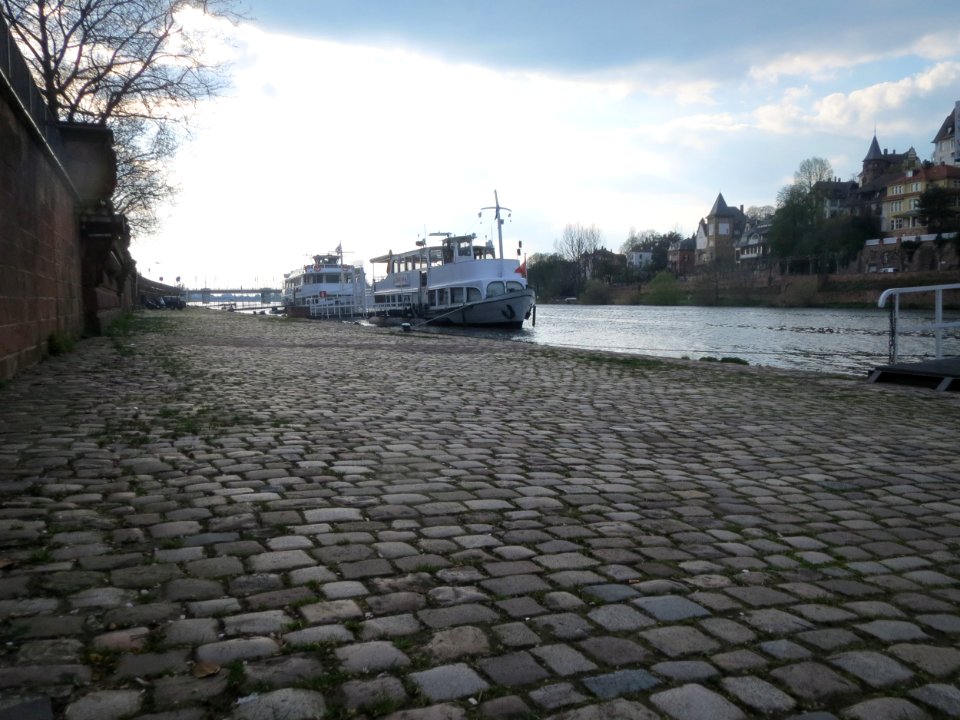 20160410Neckarufer_Heidelberg