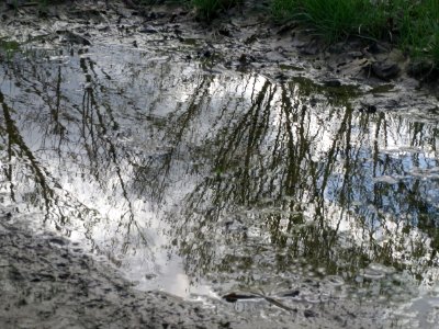 20160407Reilingen2
