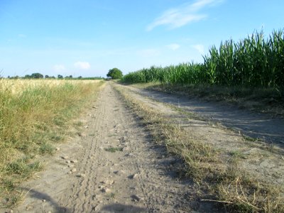 20180703Hockenheimer_Rheinbogen3