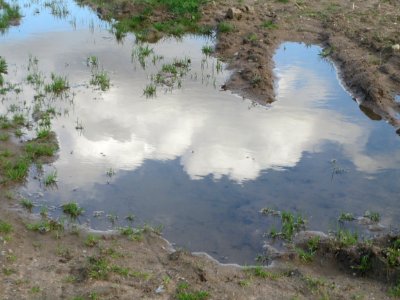 20160407Reilingen5