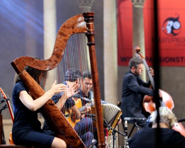 2016_Heimatsound_Festival_Herbert_Pixner_Projekt_(29)