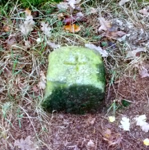 2016_Grenzstein_Burkau_Butterberg