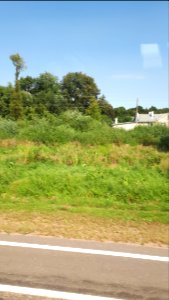 20180810_153913_Hrodna_Region