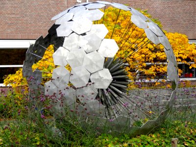 20151027_Pluizenbol_door_Hans_Rikken_Zwolle