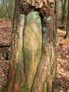20160313Harzlachte07