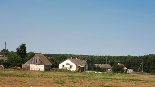 20180810_140957_Minčyki_berastavitsa_district_hrodna_voblast_august_2018