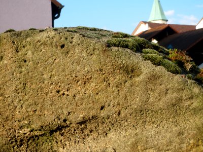 20160316Muehlstein_Hockenheim
