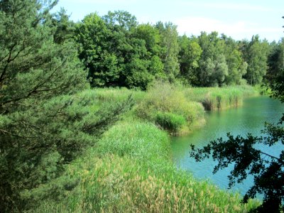 20180709Hockenheimer_Baggersee