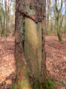20160313Harzlachte09