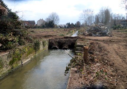 20160324Kraichbach2