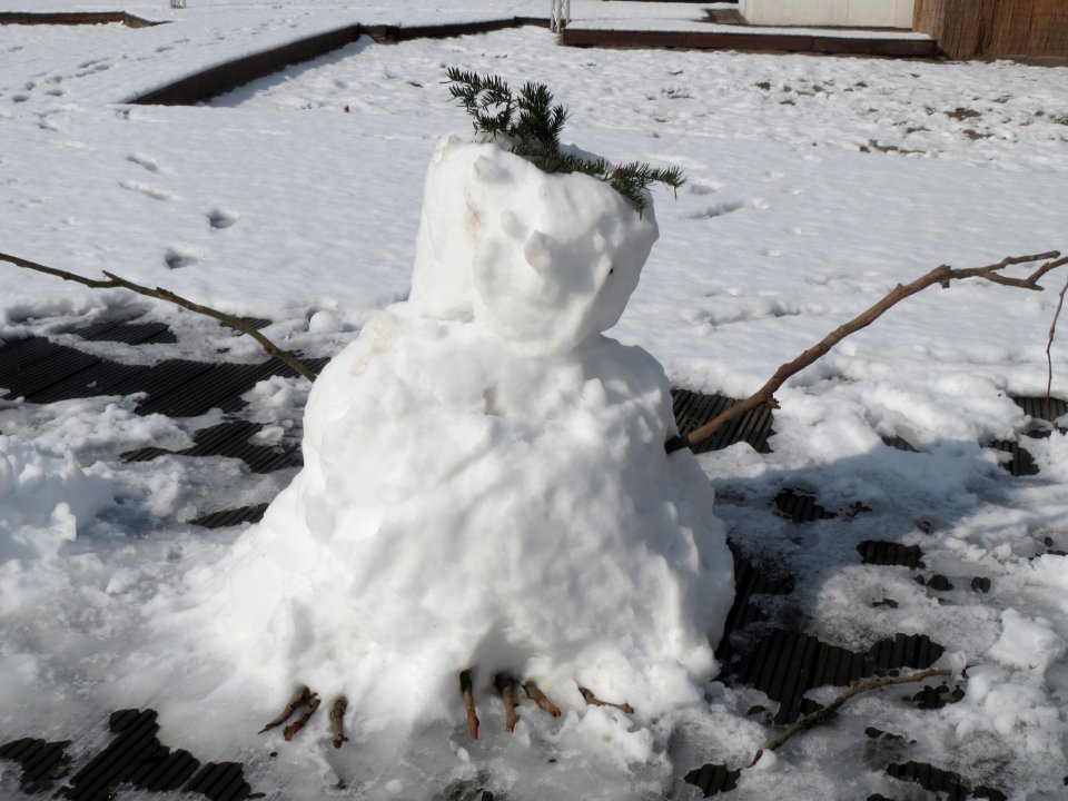 20160308Schneemann_St_Arnual2