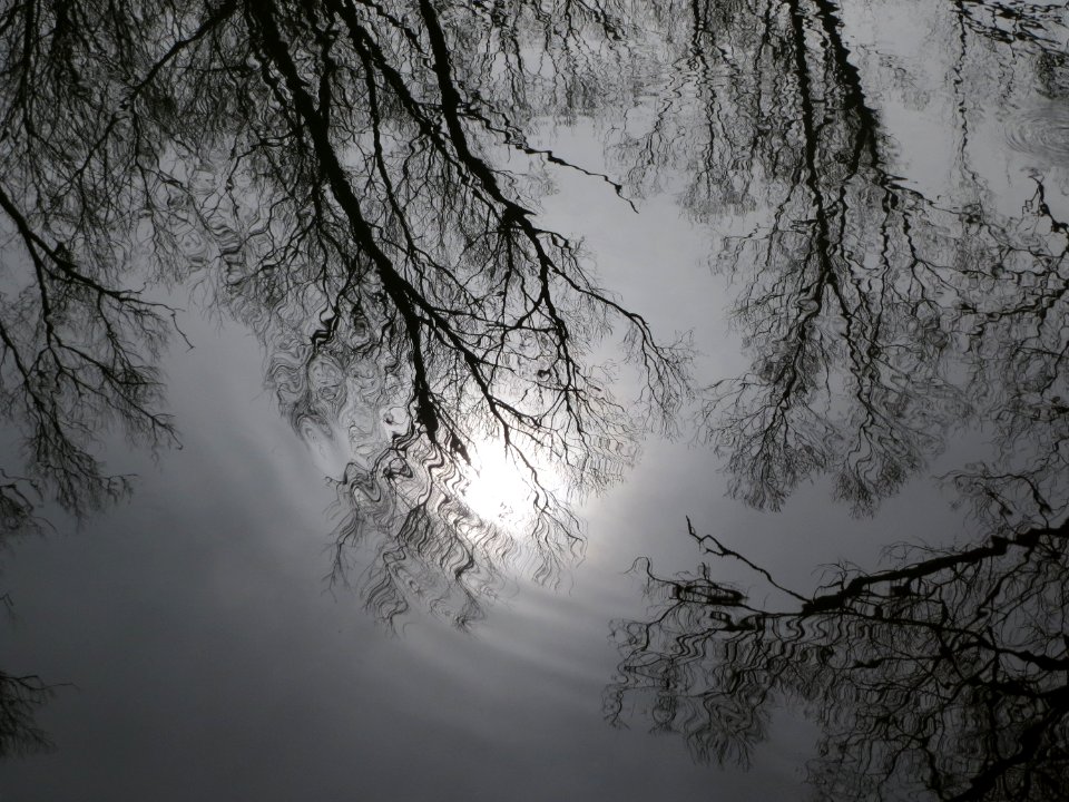 20160402Rohrbach2